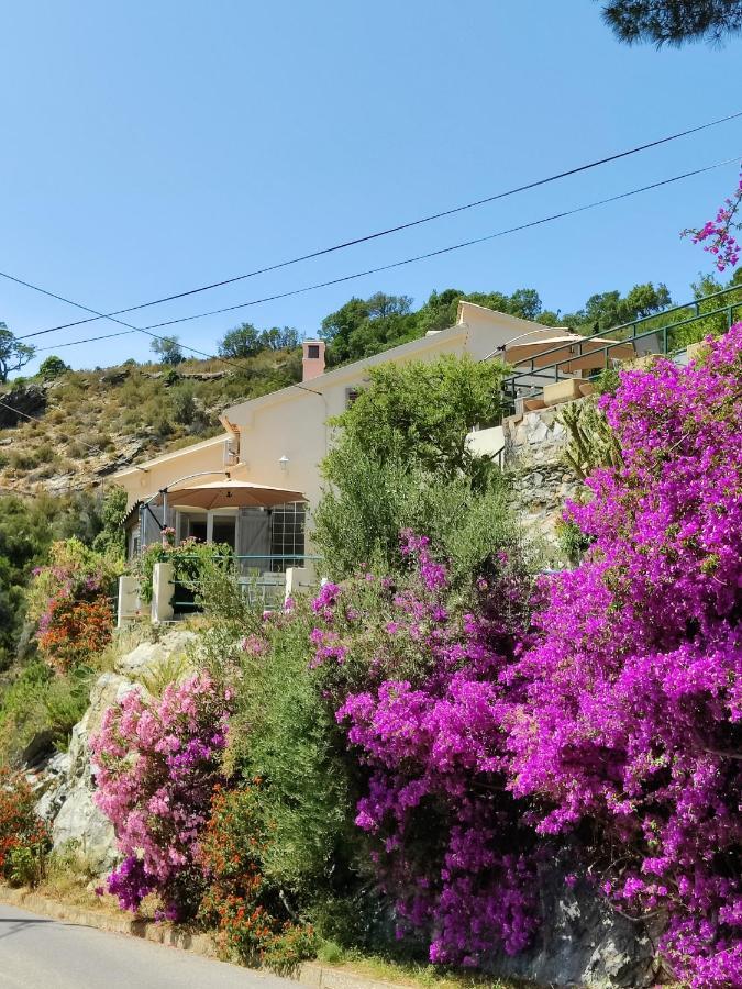 La Vallicella Farinole