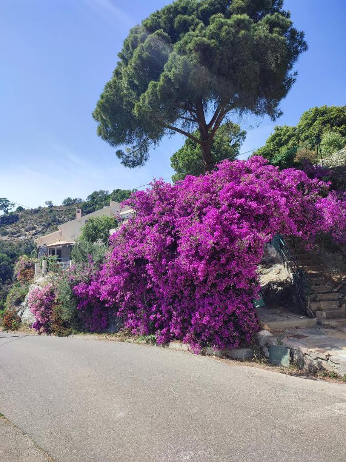 La Vallicella Holiday home