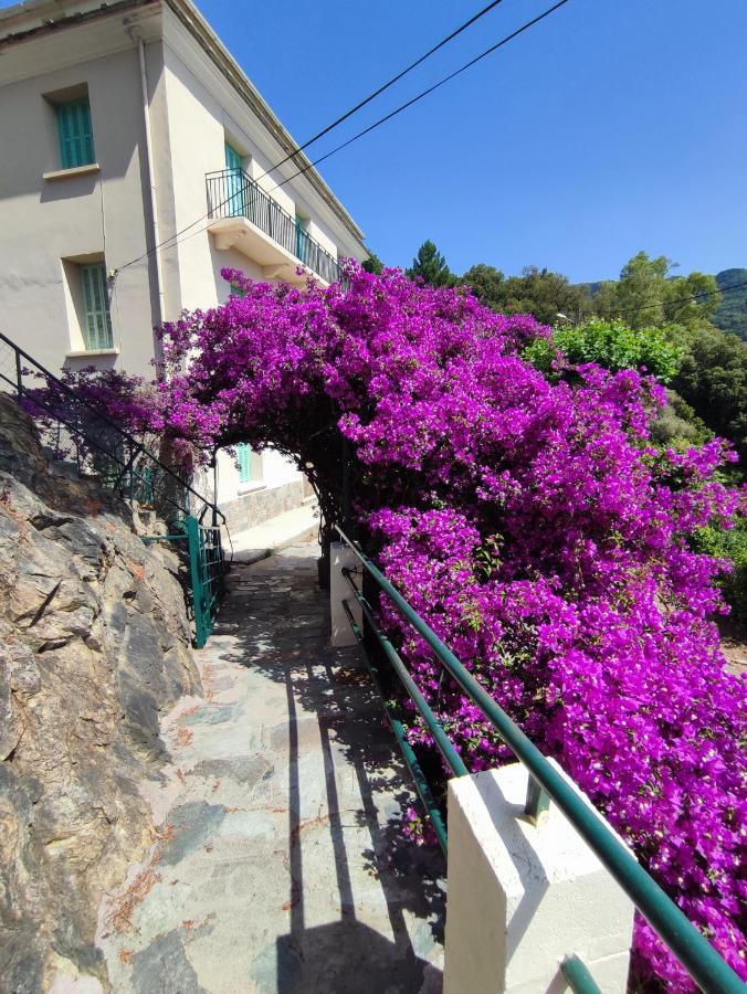 La Vallicella Farinole